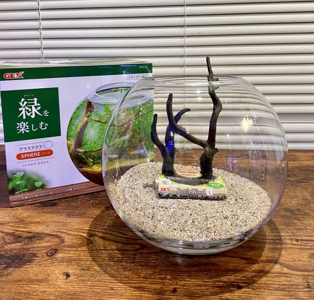 オススメ新商品『GEX ボトルウッド』 : SONOアクアプランツファーム