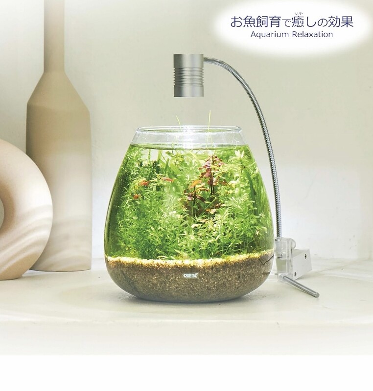 お茶の間から小さな生態系を世界に : SONOアクアプランツファーム水草