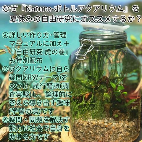 夏休み親子自由研究 ボトルアクアリウム教室 7 28 ペアーレ沖縄 Sonoアクアプランツファーム水草情報局 夏休み親子自由研究 ボトルアクアリウム教室 7 28 ペアーレ沖縄 Sonoアクアプランツファーム水草情報局