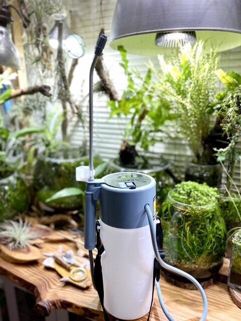 新しい噴霧器が来た オススメです電動噴霧器 Sonoアクアプランツファーム水草情報局