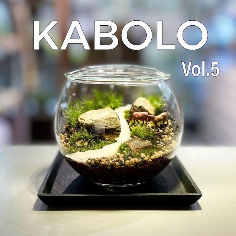 大人気の植物イベント開催!【KABOLO】〜東京兜町ボタニカルラウンジ