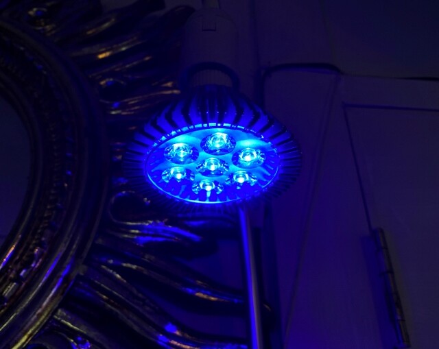 SUSANOO-LED～マリンアクアリウム用ライトの新潮流～ : SONOアクア