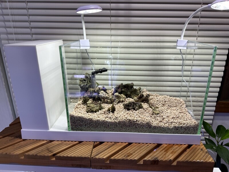 GEX AQUA-U WIDE 〜初めての小さな海に〜 : SONOアクアプランツ GEX AQUA-U WIDE 〜初めての小さな海に〜 : SONOアクアプランツ