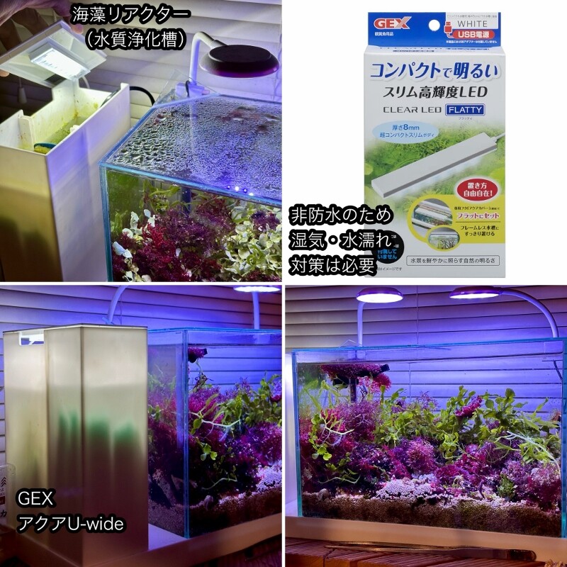 ジュズモ海藻リアクター＋GEXアクア-U : SONOアクアプランツファーム