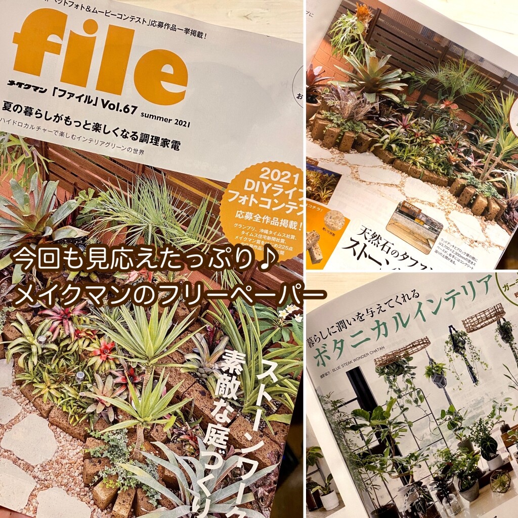 Sono水草パック販売速報 21 7 26 メイクマン浦添本店 Sonoアクアプランツファーム水草情報局