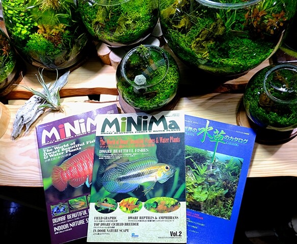 MiNiMa Vol.2 アクアリウムに描かれた小型美魚の世界 MiNiMa Vol.2 アクアリウムに描かれた小型美魚の世界