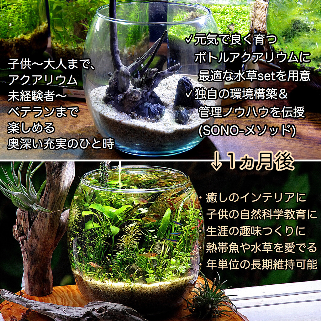 Nature ボトルアクアリウム教室 In メイクマン豊見城店 年3月22日 Sonoアクアプランツファーム水草情報局