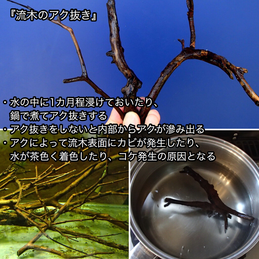 大きい割引 人工ライブロック No.19. CO2アク抜き済 2個 しまう 海水魚用品