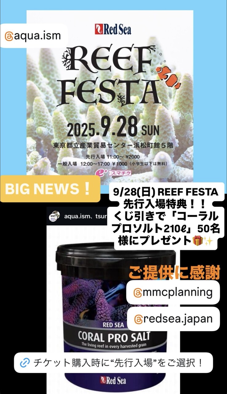 SAM様 リクエスト 10点 まとめ商品 蛍様 リクエスト 蛍様 リクエスト 3