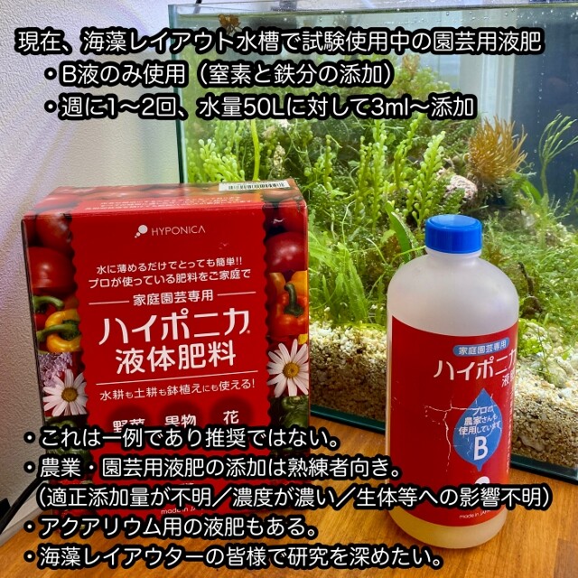 海藻レイアウト水槽の施肥 Sonoアクアプランツファーム水草情報局