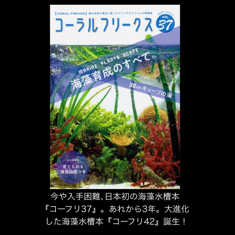 コーラルフリークス コーラルフリークスVol42 | コーラルフリークスショップ