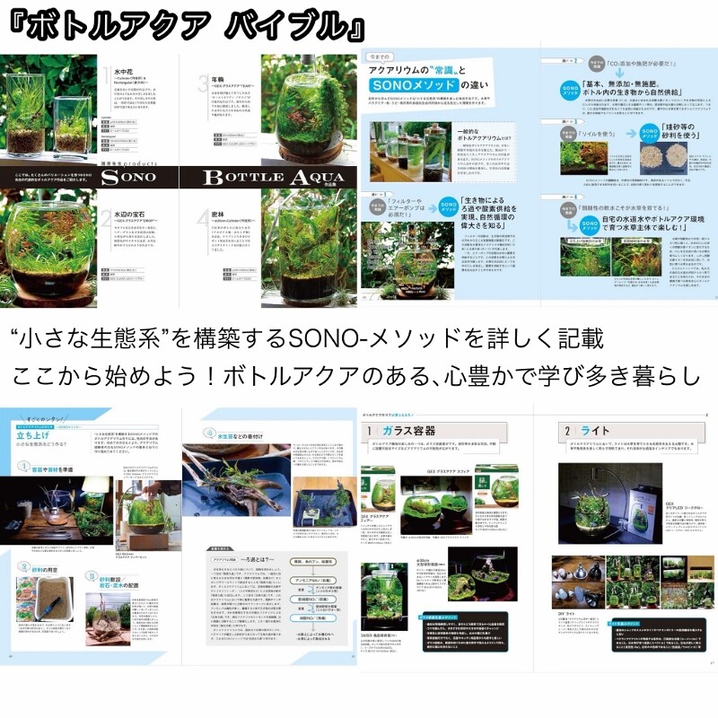 お茶の間から小さな生態系を世界に : SONOアクアプランツファーム水草