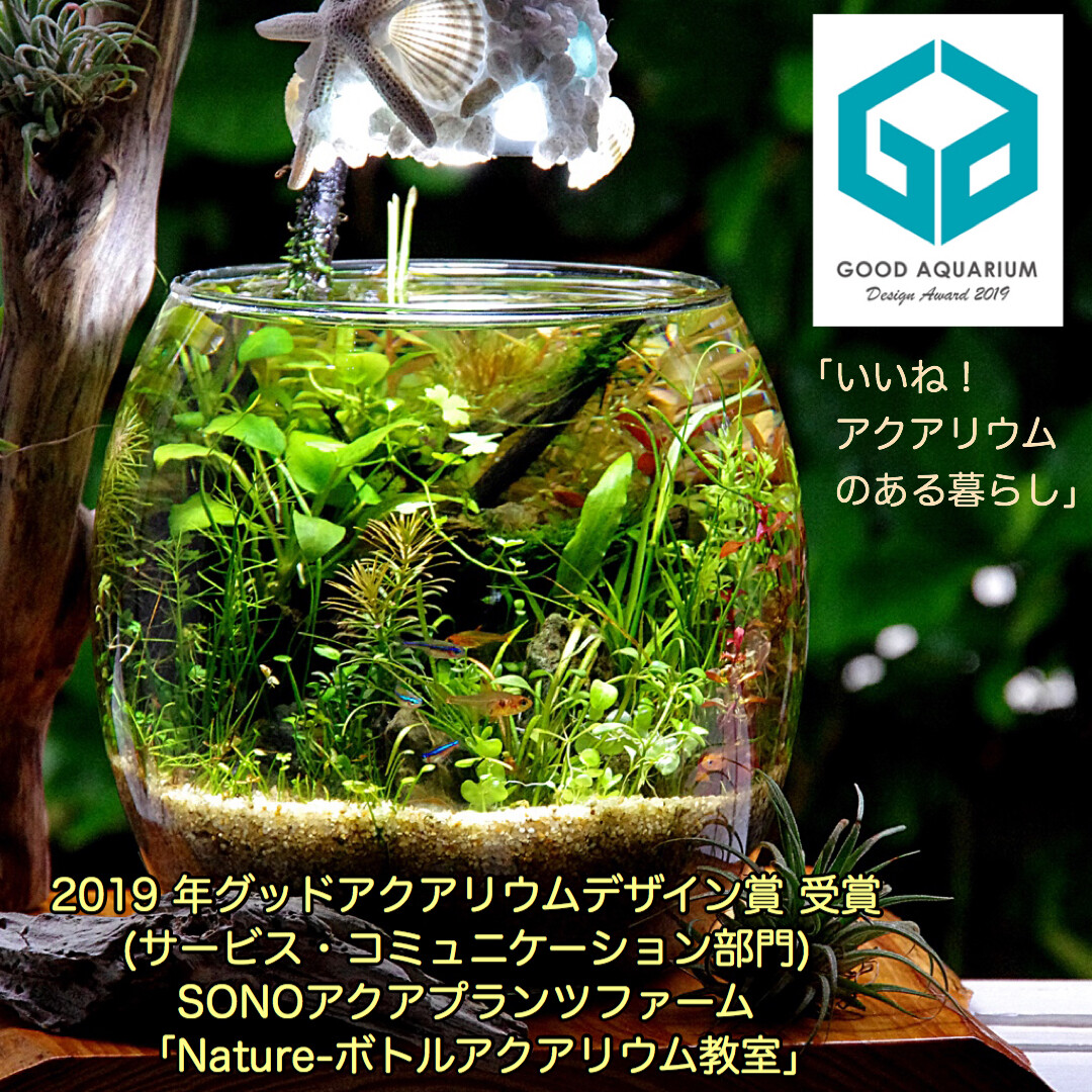 Nature ボトルアクアリウム教室 In メイクマン豊見城店 年3月22日 Sonoアクアプランツファーム水草情報局