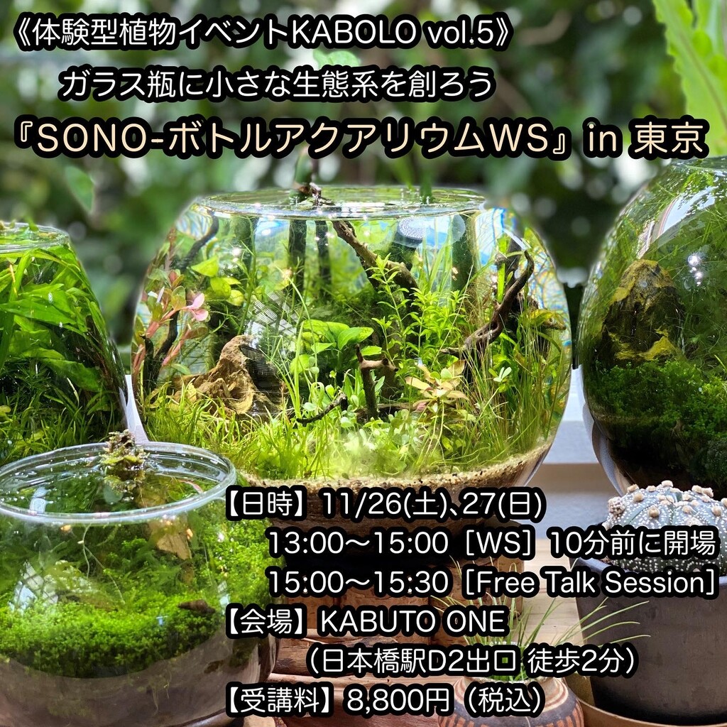 大人気の植物イベント開催!【KABOLO】〜東京兜町ボタニカルラウンジ