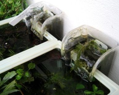 Q 水草水槽におススメのフィルターやろ材は Sonoアクアプランツファーム水草情報局 Q 水草水槽におススメのフィルターやろ材は Sonoアクアプランツファーム水草情報局