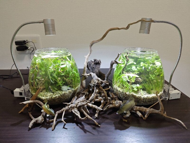 水草おもしろ話 ＆水草小話（非売品）セット　山崎美津夫 水草おもしろ話 水槽の中に自然美を作る 山崎美津夫 2022年1月
