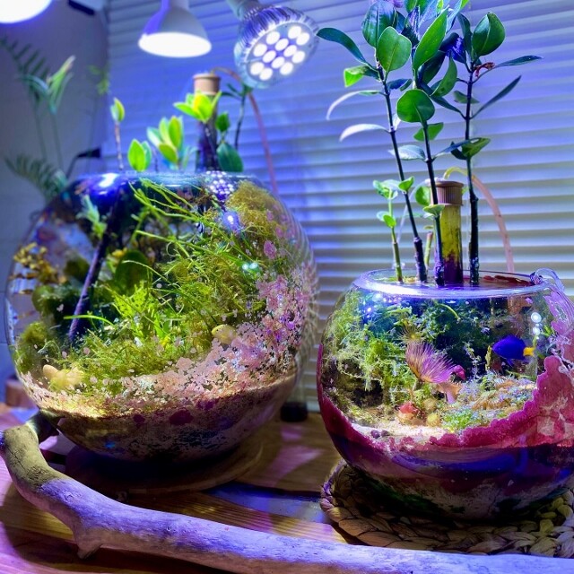 新作…圧巻の美しさ♡海の雫のシャンデリア…初登場♪ランダムカットのアクアマリン他 💙