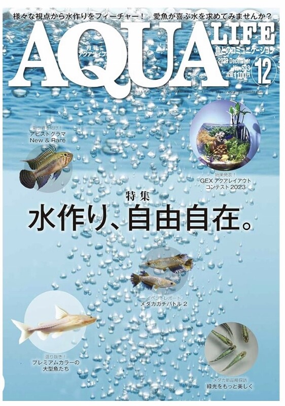 アクアプランツ AQUA PLANTS No.1～No.12 アクアライフ増刊 アクアプランツ AQUA PLANTS No.1～No.12 アクアライフ増刊
