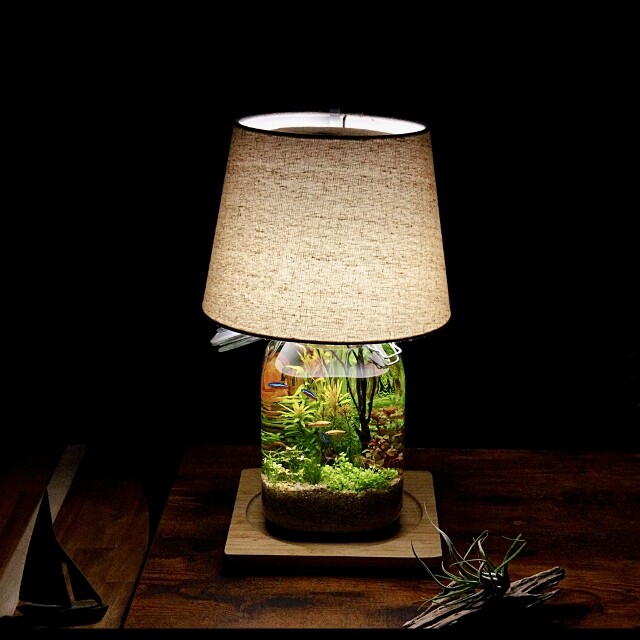 ナショナル、水草、熱帯魚専用ランプ アクアリウムはインテリア ～Natural-Lamp～ : SONOアクアプランツ
