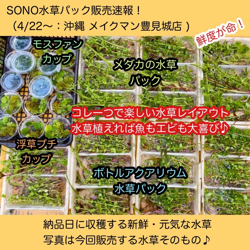 めだか飼育係様ご相談商品