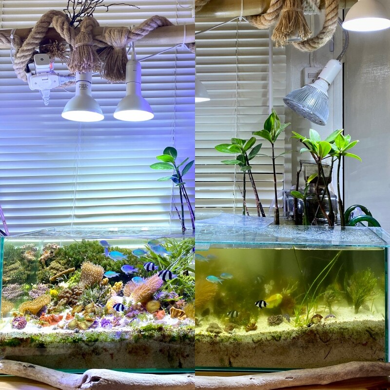 アクアリウム関連書籍26冊セット アクアライフ他 月刊アクア