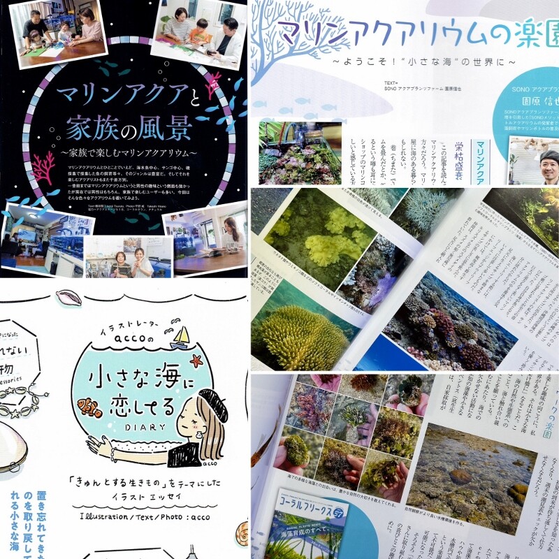 ここから始まる！コーフリvol.41 : SONOアクアプランツファーム水草