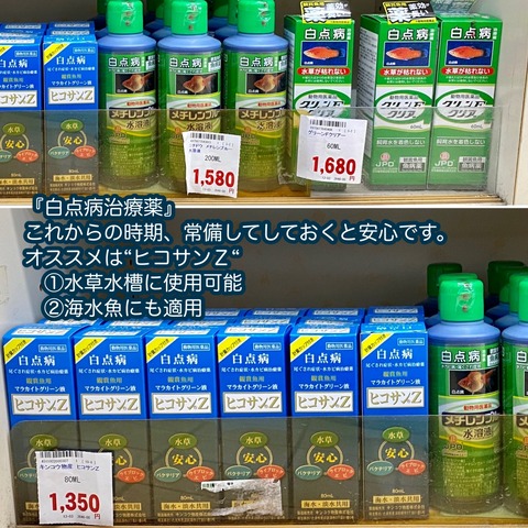 Sono水草パック販売速報 21 10 28 メイクマン具志川店 Sonoアクアプランツファーム水草情報局