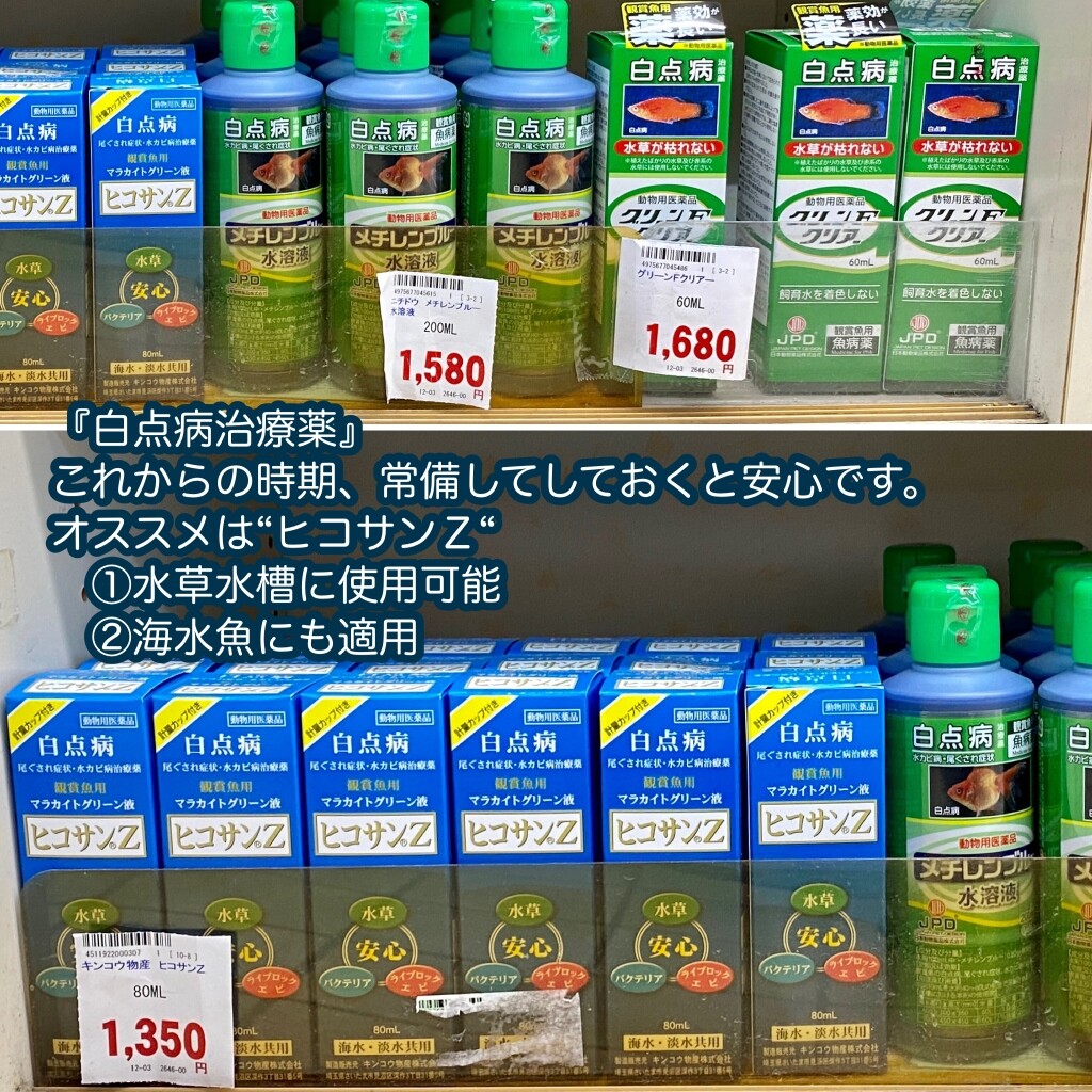 SONO水草パック販売速報(2021.10/28～:メイクマン具志川店) : SONO