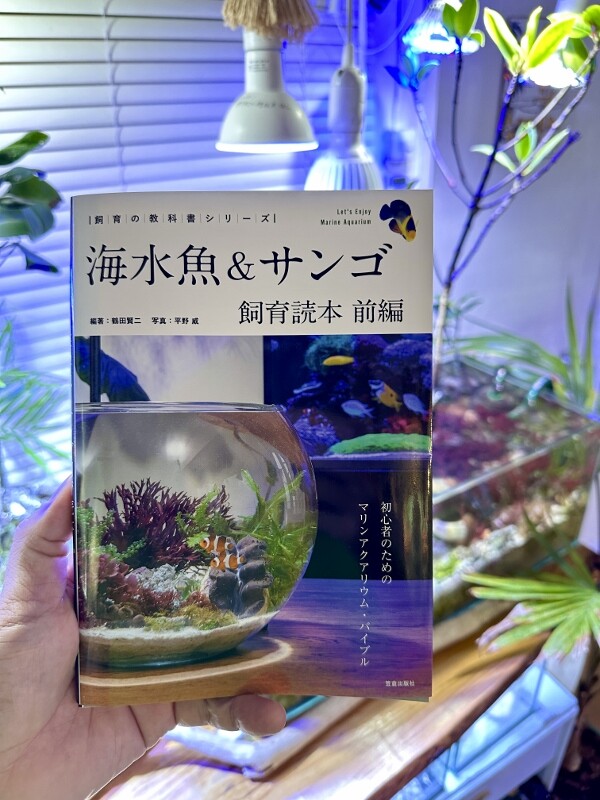 相談専用 ドラゴンブレス マリンプランツ 光る海藻 海水魚用 ⭐️ちび