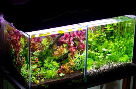 小型水草水槽 照明付き 20cmキューブ 10kg程度