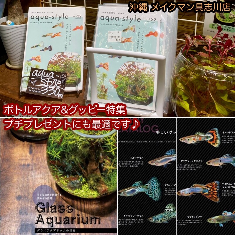 SONO水草パック販売速報(2022.4/15~:メイクマン具志川店) : SONOアクアプランツファーム水草情報局 SONO水草パック販売速報(2022.4/15~:メイクマン具志川店) : SONOアクアプランツファーム水草情報局