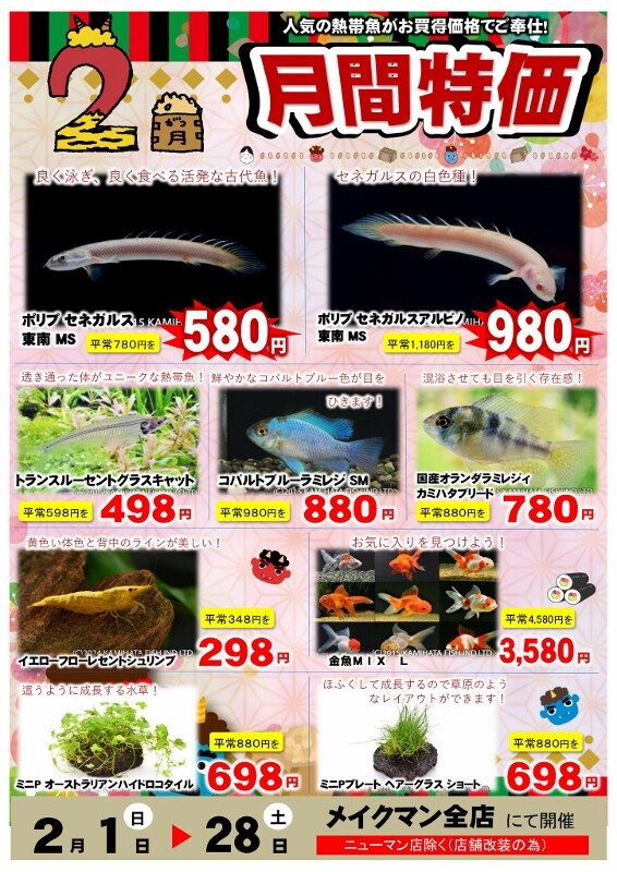 SONO水草パック販売速報(2026.2/5～:メイクマン豊見城店) : SONOアクア