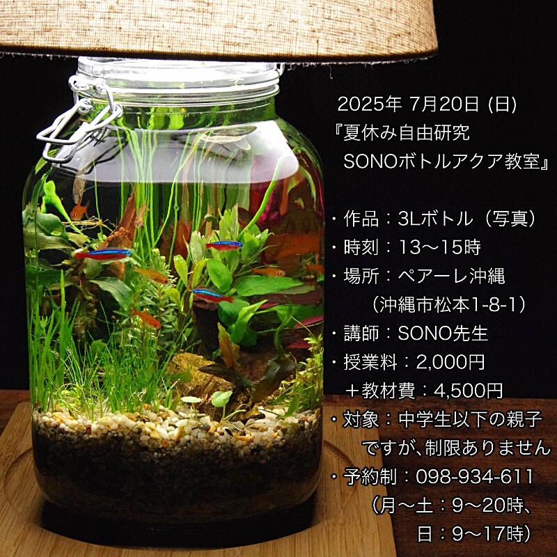 くまのアクアリュウムページ 2025.7/20『夏休み親子自由研究～Nature-ボトルアクアリウム教室～』in