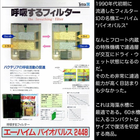 幻のフィルター : SONOアクアプランツファーム水草情報局