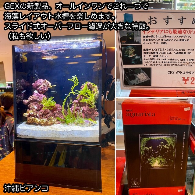 GEX Aquarista OF-450 オーバーフロー 楽天市場】GEX グラステリア アグス AGS OF-450オーバーフロー
