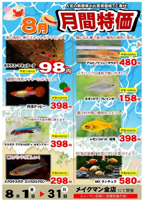 SONO水草パック販売速報(2025.8/1～:メイクマン豊見城店) : SONOアクア