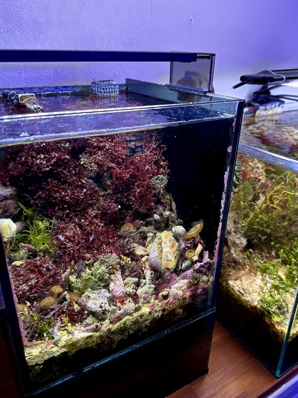 Mini Over Flow System 〜GEX Glassterior AGS SLIDE OF-230 Mini Over Flow System 〜GEX Glassterior AGS SLIDE OF-230