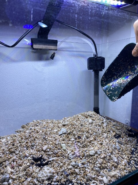 底面フィルターのメリット デメリット 私ならこう使う Sonoアクアプランツファーム水草情報局