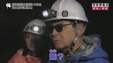 ブラタモリ 富士の樹海 第二回