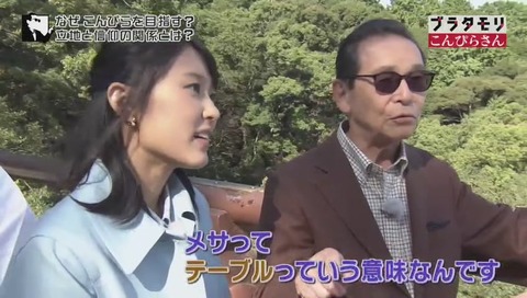 ブラタモリ60 こんぴらさん メサ