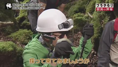 ブラタモリ 富士の樹海 第二回 千葉達郎さん