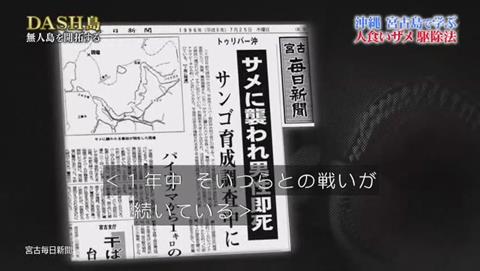 鉄腕DASH 沖縄 宮古島
