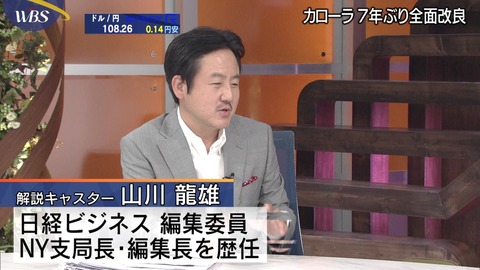 ワールドビジネスサテライト 山川龍雄