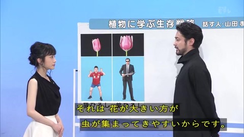「植物に学ぶ生存戦略2」チューリップ