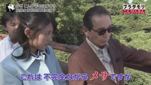 ブラタモリ60 こんぴらさん メサ
