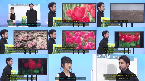 「植物に学ぶ生存戦略2」チューリップ