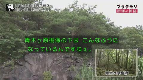 ブラタモリ 富士の樹海 第二回