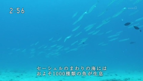 NHK『地球でイチバンの海の楽園と神秘の島 海と島編 ~セーシェル諸島・ヤップ島~』画像