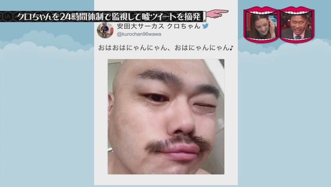 安田大サーカスクロちゃん 「おはおはにゃんにゃん」