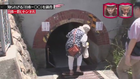 「日本一低いトンネル」 兵庫県 西宮市 甲子園
